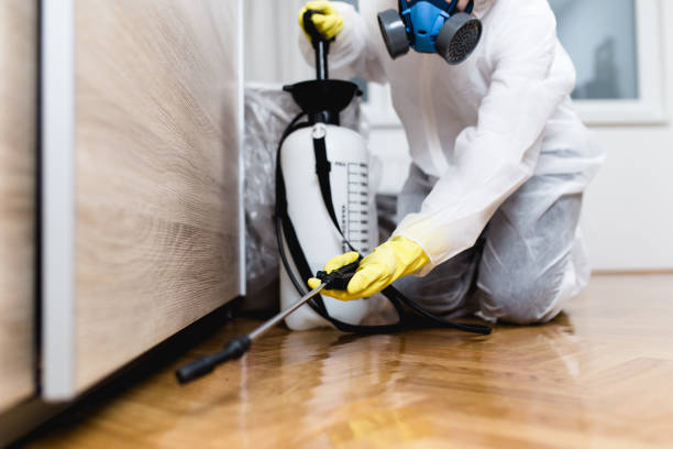 Best Bed Bug Extermination  in Louisville, OH