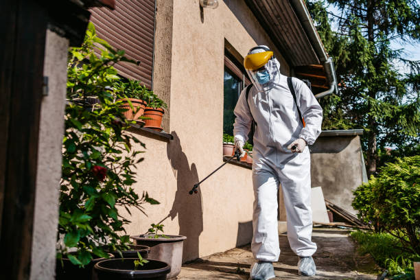 Best Affordable Pest Control Services  in Louisville, OH