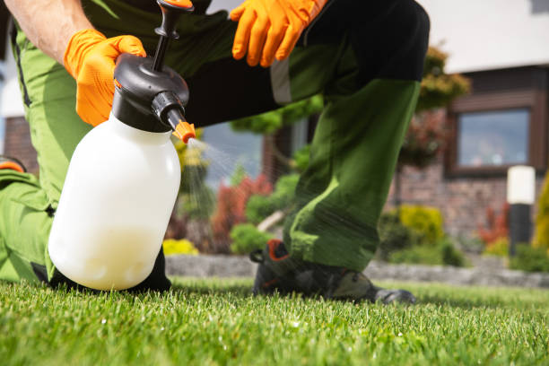 Best Emergency Pest Control  in Louisville, OH