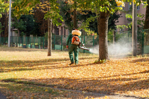 Best Bird Control  in Louisville, OH