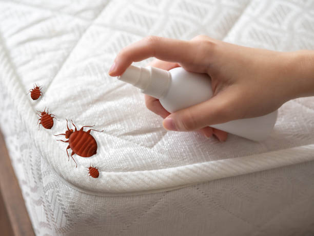 Best Exterminator Services  in Louisville, OH
