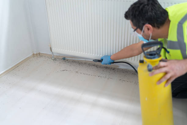 Reliable Louisville, OH Pest Control Solutions