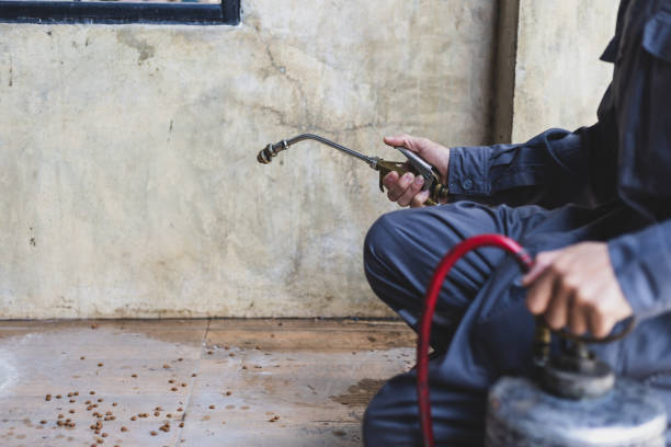 Best Pest Control Near Me  in Louisville, OH